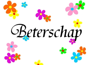 beterschapskaart-bloemetjes-beterschap-kleur-jb15013