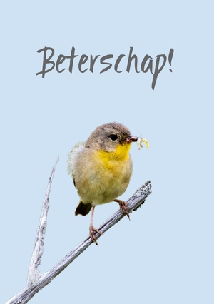 beterschapskaart-vogel-geel-blauw-jb17012403b