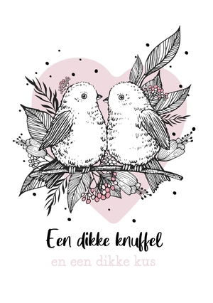 Dikke knuffel kaart twee vogeltjes met roze hart