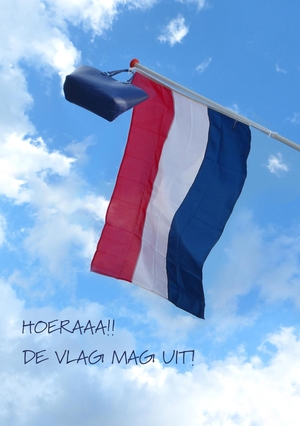 Geslaagd kaart vlag lucht