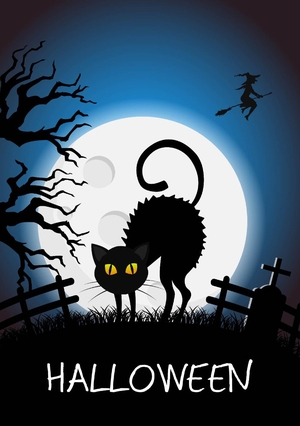 Halloween zwarte kat