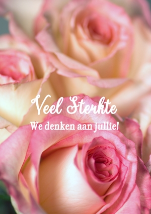 roze rozen veel sterkte