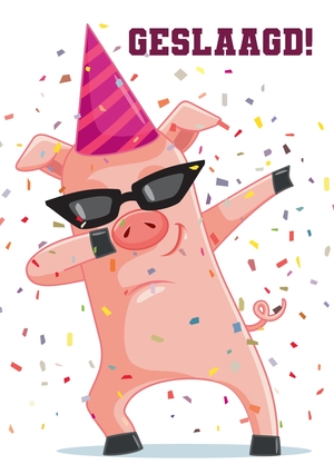 party pig geslaagd