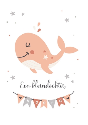 Felicitatie opa en oma kleindochter walvis