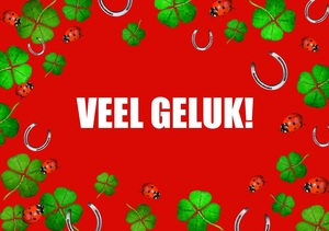 Succes kaart klavertje vier rood