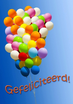 Verjaardagskaart-ballonnen-gefeliciteerd-jb15050