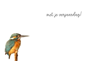 Verjaardagskaart-ijsvogel-jb17012402v