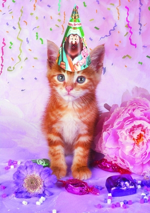 verjaardagskaart-kind-poes-feest-ahd16042506