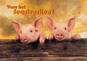 verjaardagskaart-kind-varkens-feest-ahd17020801v