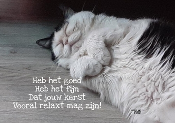 versjevanVERS!_kerst_kat