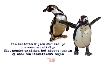 versjevanVERS!_nieuwjaar_pinguins