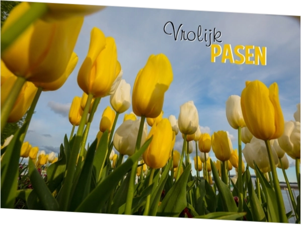 Vrolijk pasen lentebloemen