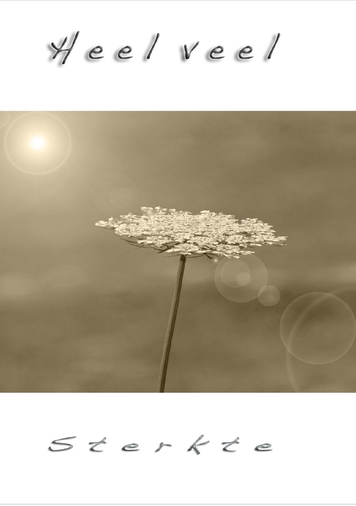 Bloem afbeelding in sepia