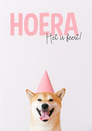 Het is feest (hond)